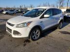 Lot #3023905280 2014 FORD ESCAPE SE