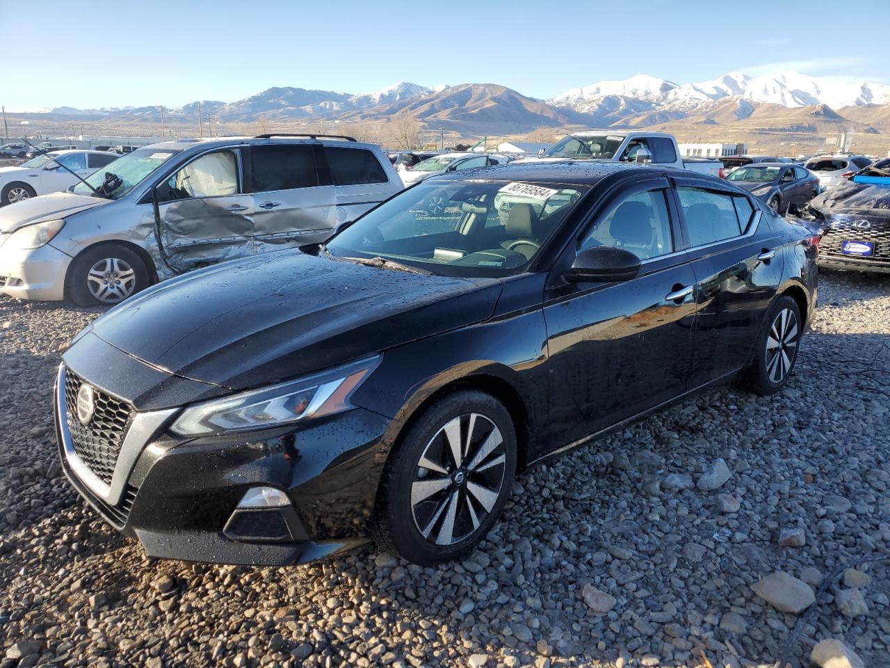 1N4BL4DV5NN316667 NISSAN ALTIMA SV 2022