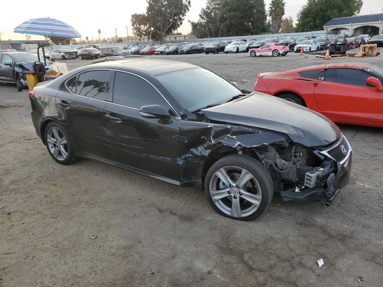 Lot #3030427499 2011 LEXUS IS 250