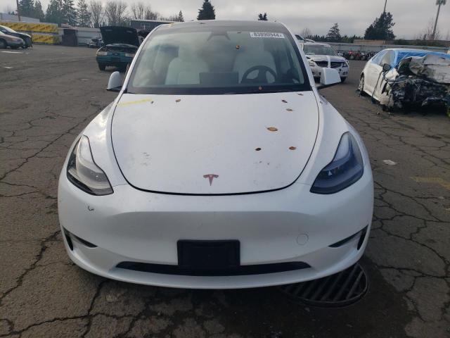 2024 TESLA MODEL Y - 7SAYGAEE7RF077443