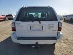 Lot #3027289290 2001 ISUZU RODEO S