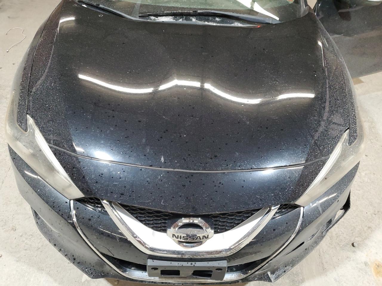 Lot #3028361783 2016 NISSAN MAXIMA 3.5