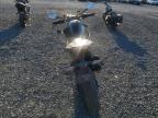 Lot #3023857816 2022 DUCATI MONSTER