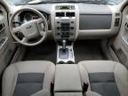 Lot #3034737662 2008 FORD ESCAPE HEV