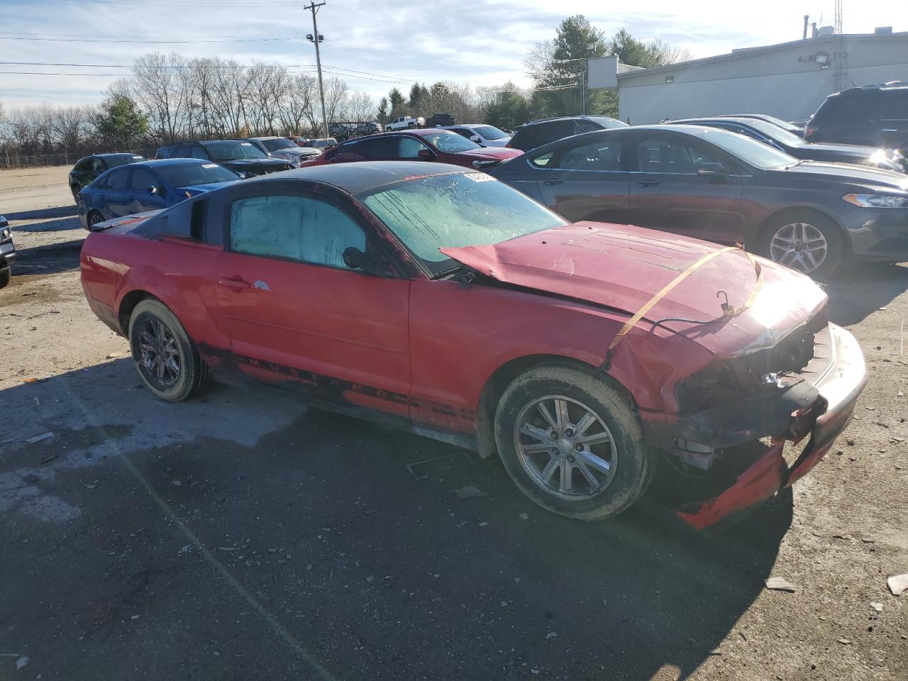 Lot #3030491471 2008 FORD MUSTANG