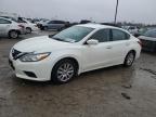 2016 NISSAN ALTIMA 2.5 - 1N4AL3AP7GN323098