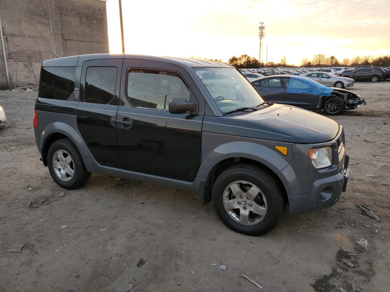 Lot #3034412084 2003 HONDA ELEMENT EX