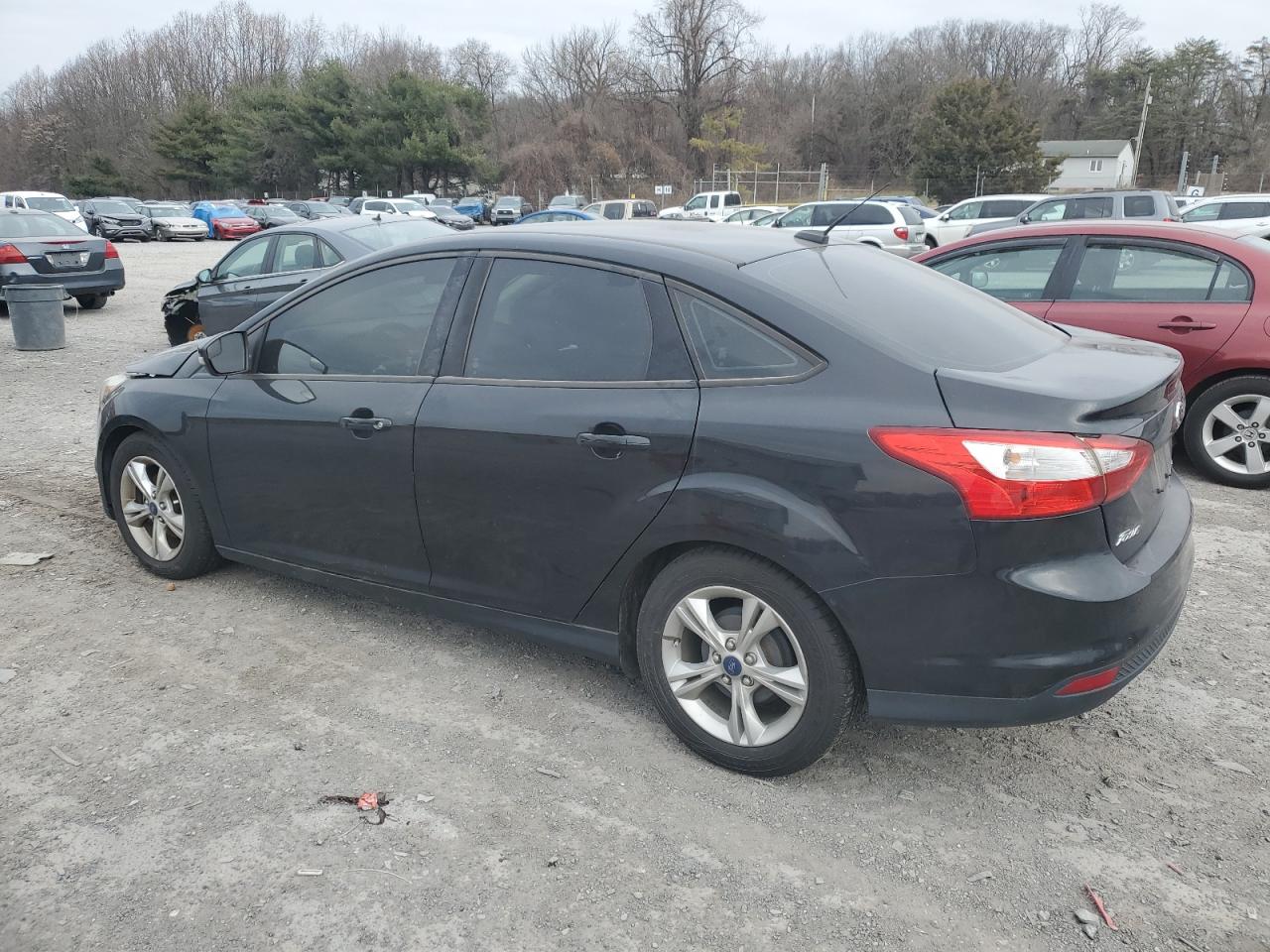 Lot #3024244892 2014 FORD FOCUS SE