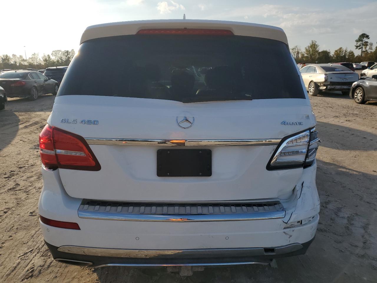 Lot #3028256787 2019 MERCEDES-BENZ GLS 450 4M