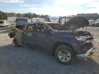 Lot #3025064183 2023 CHEVROLET SILVERADO