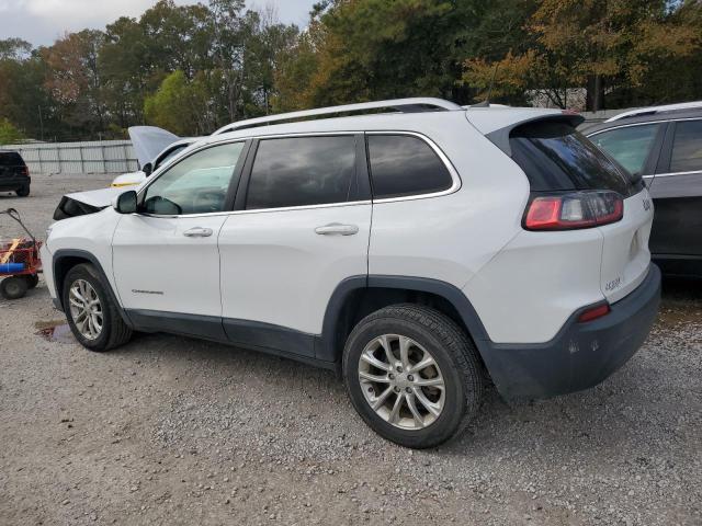 2019 JEEP CHEROKEE L - 1C4PJLCB2KD175629