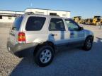 Lot #3024303006 2005 FORD ESCAPE XLT