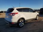 Lot #3023774898 2014 FORD ESCAPE SE