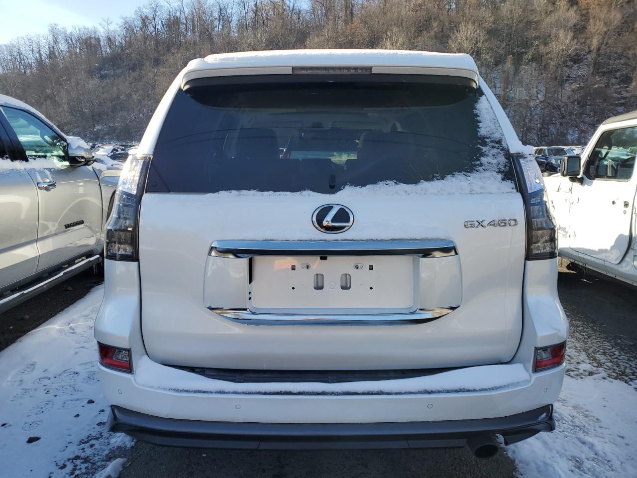 Lot #3050302900 2023 LEXUS GX 460