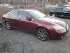 Lot #3024307023 2008 LEXUS ES 350