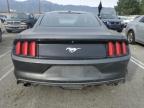 Lot #3033082020 2016 FORD MUSTANG