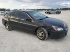 Lot #3030997856 2005 HONDA ACCORD LX