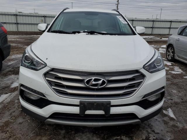 2017 HYUNDAI SANTA FE S - 5NMZUDLB0HH020762