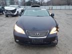 Lot #3024613607 2008 LEXUS ES 350