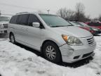 Lot #3027005924 2010 HONDA ODYSSEY EX