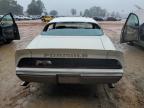 Lot #3024629609 1979 PONTIAC FIREBIRD