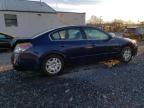 Lot #3024895405 2010 NISSAN ALTIMA BAS