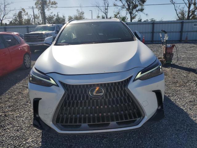 2025 LEXUS NX 250 PRE 2T2GDCAZ1SC016522