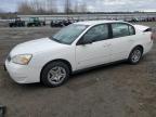 Lot #3024608708 2007 CHEVROLET MALIBU LS