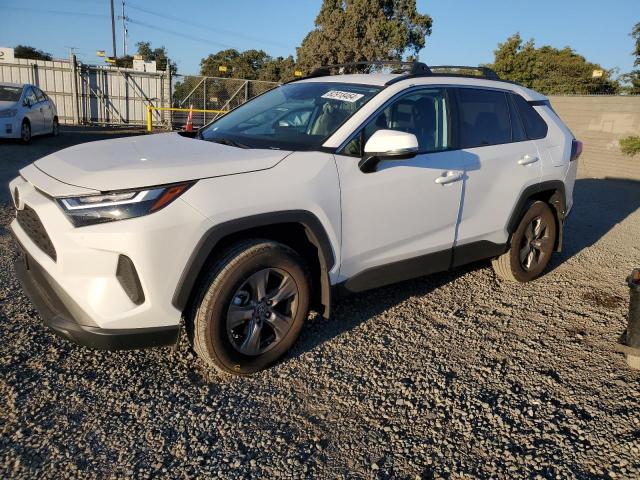 2024 TOYOTA RAV4 XLE #3029384714