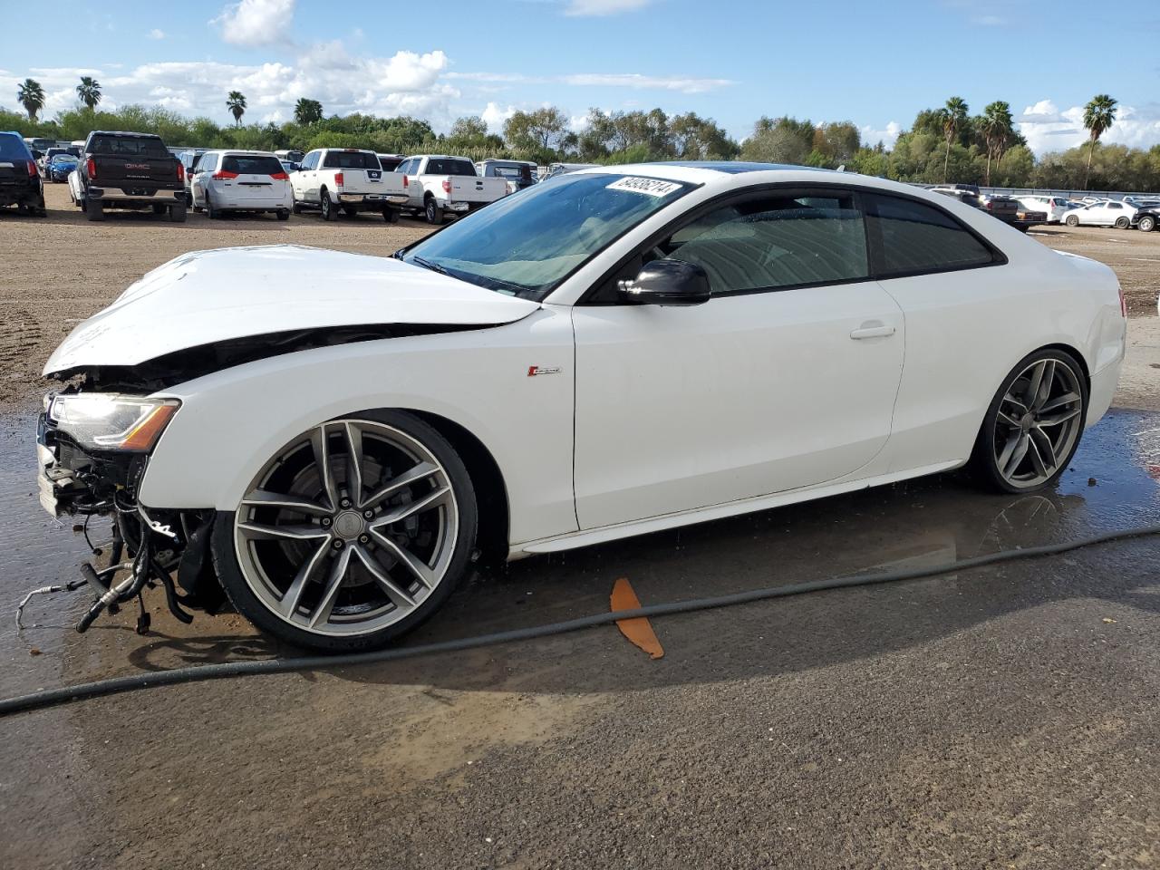 Lot #3027048813 2016 AUDI S5 PRESTIG