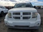 Lot #3038277727 2011 DODGE NITRO HEAT