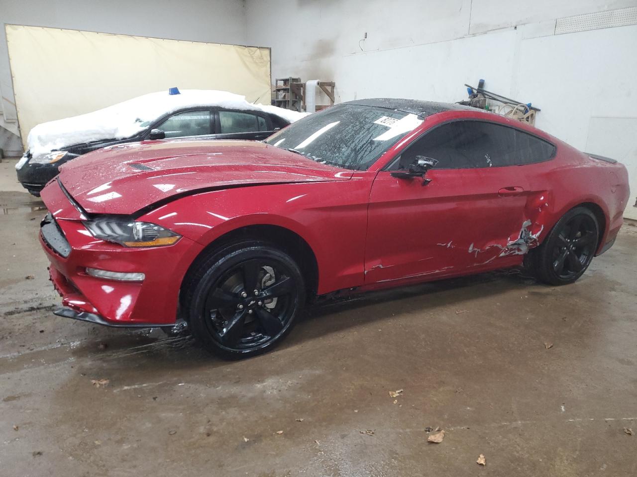 Lot #3024702601 2023 FORD MUSTANG