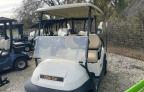 Lot #3024812439 2019 CLUB GOLF CART