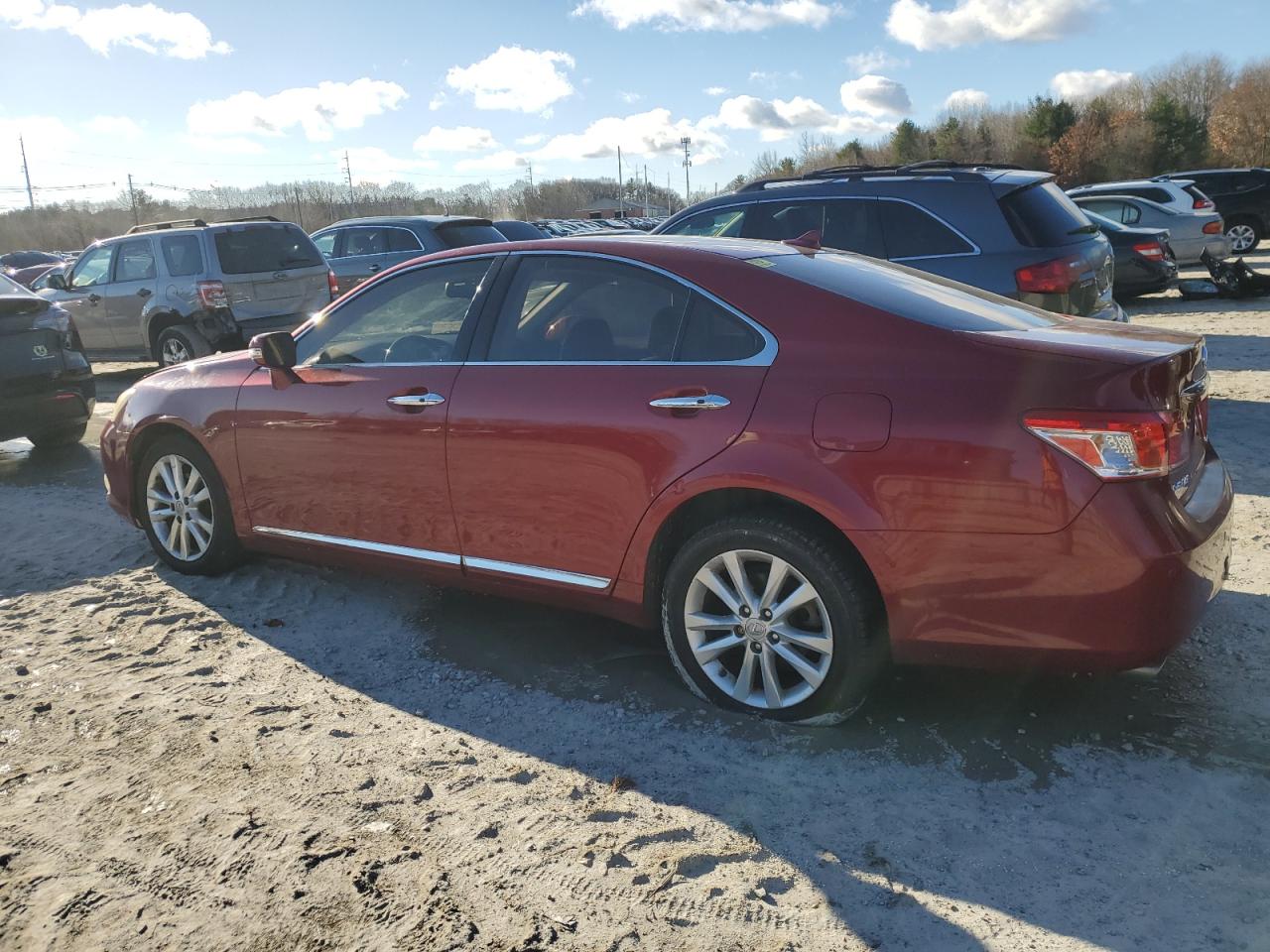 Lot #3024183850 2010 LEXUS ES 350