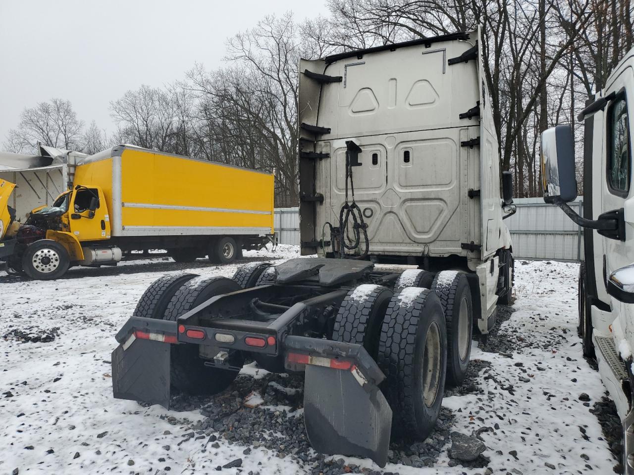 Lot #3034332104 2020 FREIGHTLINER CASCADIA 1