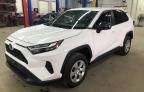 Lot #3024600755 2023 TOYOTA RAV4 LE