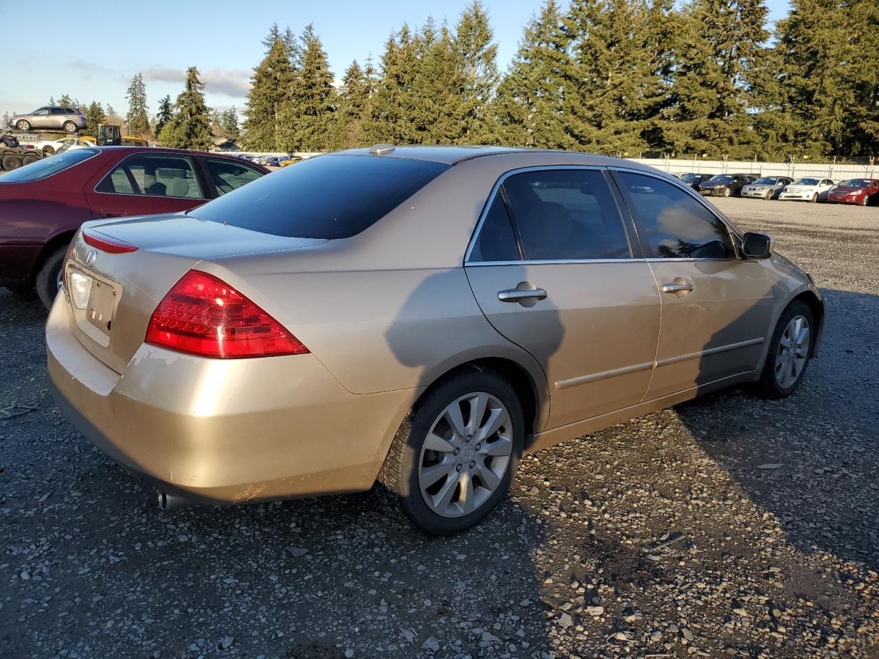 Lot #3033485107 2006 HONDA ACCORD EX