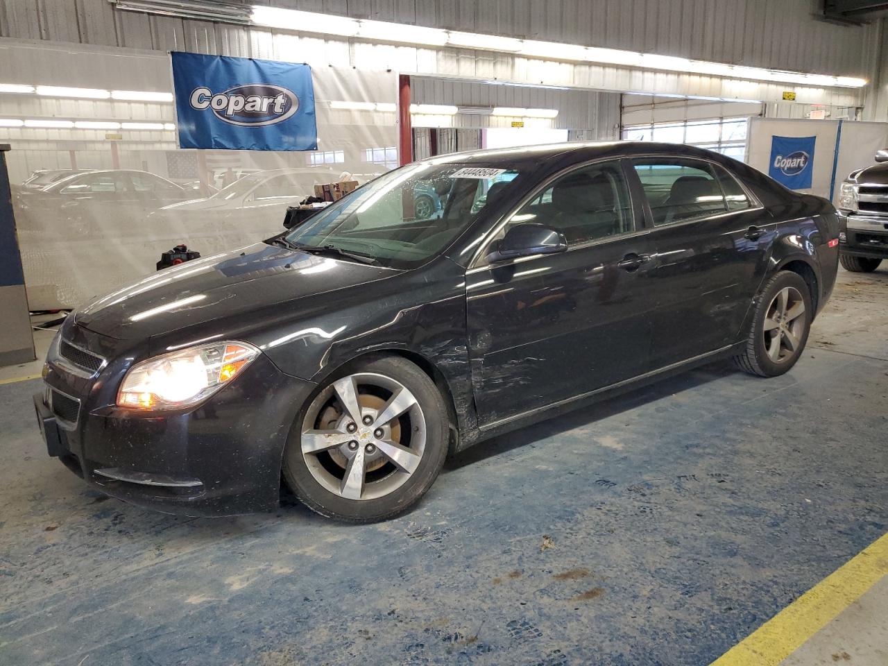 Lot #3027167336 2011 CHEVROLET MALIBU 1LT