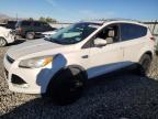 Lot #3025792313 2014 FORD ESCAPE TIT