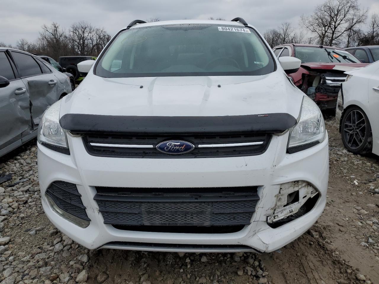 Lot #3034283126 2014 FORD ESCAPE SE