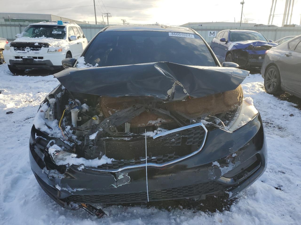 Lot #3045630634 2016 KIA FORTE LX