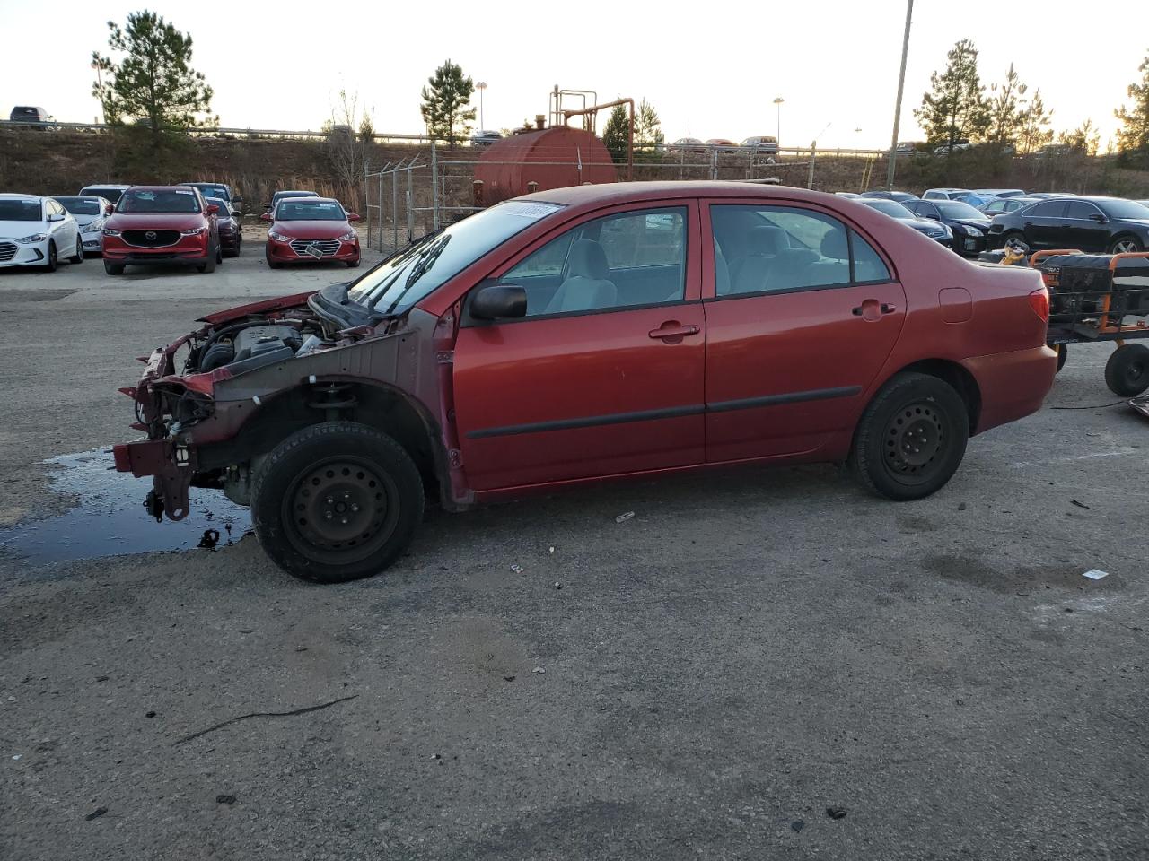 Lot #3024188804 2008 TOYOTA COROLLA CE