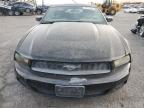 Lot #3022828293 2010 FORD MUSTANG