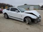 Lot #3025836342 2014 FORD MUSTANG