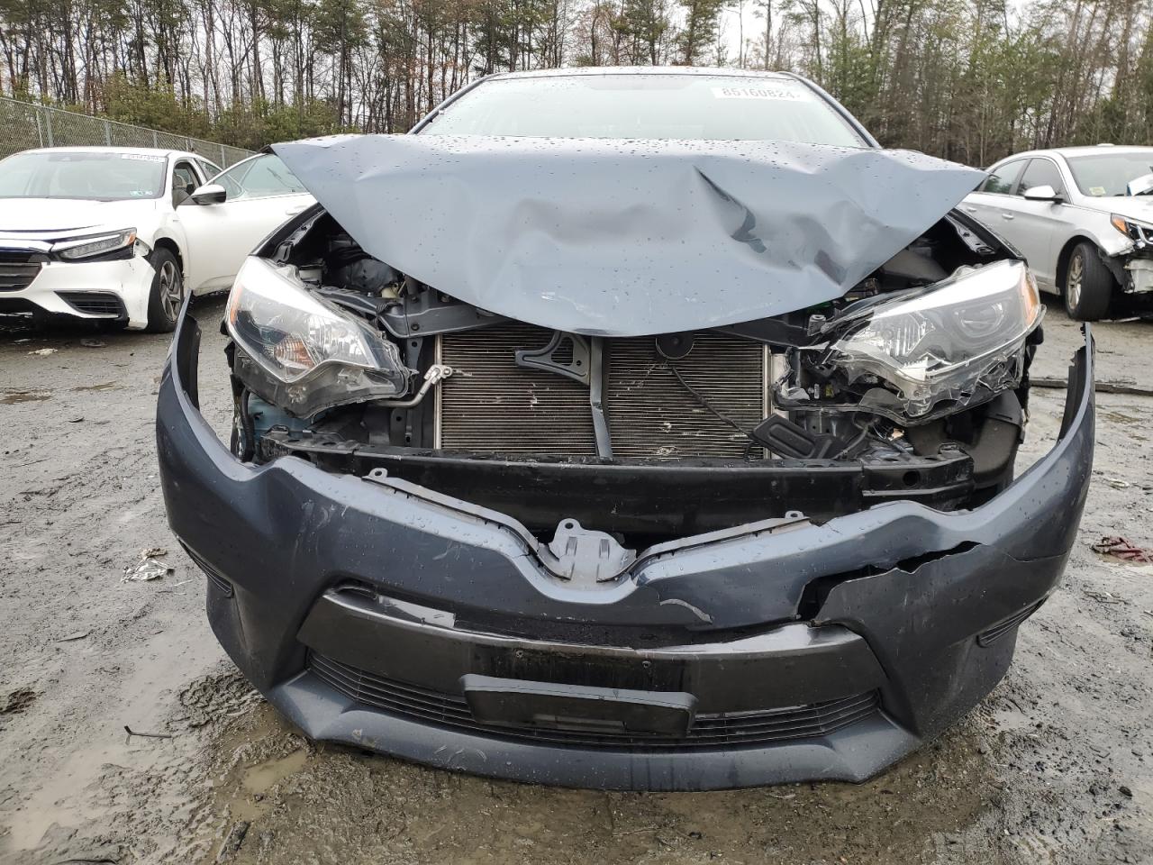 Lot #3029578109 2015 TOYOTA COROLLA EC