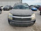 Lot #3024023259 2005 CHEVROLET EQUINOX LT