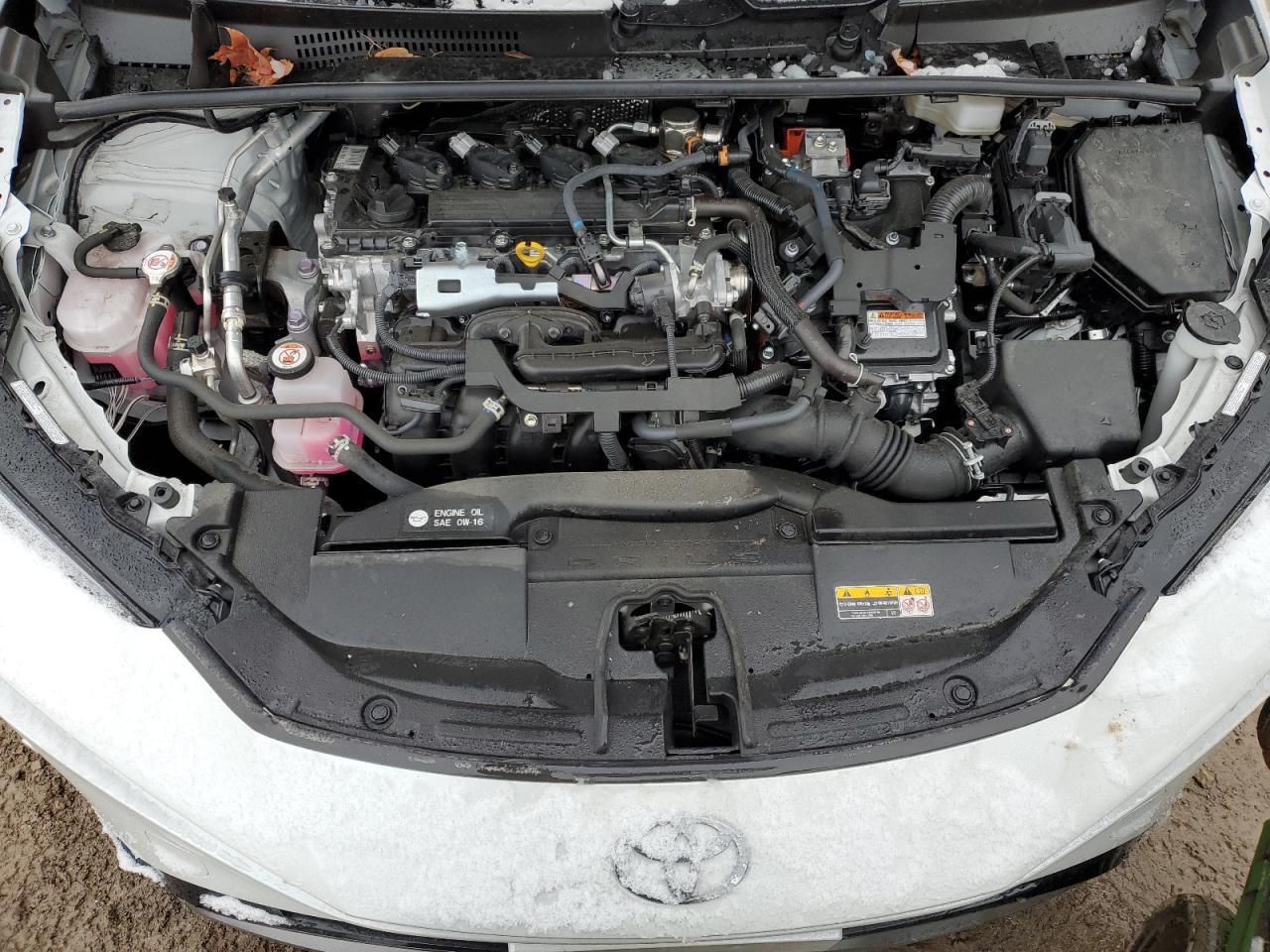 Lot #3033355804 2023 TOYOTA PRIUS LE