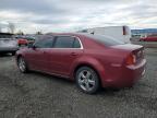 Lot #3030916530 2010 CHEVROLET MALIBU 2LT