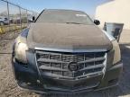 Lot #3023093923 2009 CADILLAC CTS