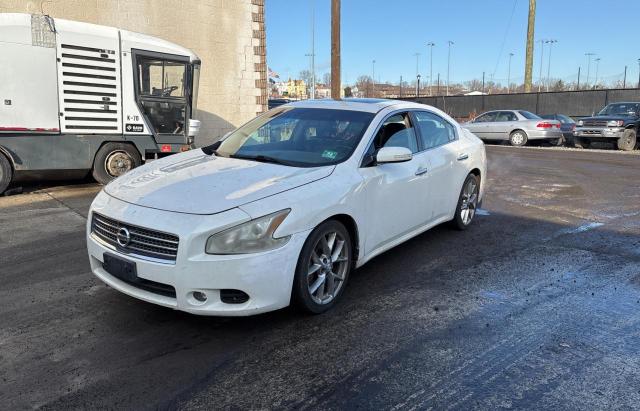 NISSAN MAXIMA S 2010 white sedan 4d gas 1N4AA5APXAC847320 photo #3